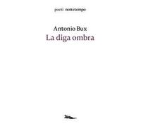 La diga ombra