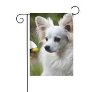 La dimensione precisa dell'immagine YYHWHJDE White Papillon di questa bandiera da giardino è di 30,5 x 45,7 cm, che è un rapporto dorato accuratamente progettato. Si adatta perfettamente alla