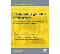 La disciplina giuridica delle strade. Uso, manutenzione e respons