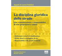 La disciplina giuridica delle strade. Uso, manutenzione e responsabilità di enti proprietari e utenti