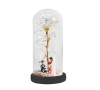 La e la Rosa - Conservata in cupola di , artificiale musicale luce LED stringa di luci | Rosa romantica lampada floreale per donne e mamme
