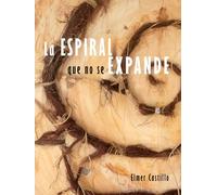 La Espiral que no se expande: Repetición, contención y palimpsesto