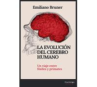 La evolución del cerebro humano: Un viaje entre fósiles y primates