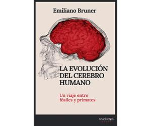 La evolución del cerebro humano: Un viaje entre fósiles y primates