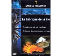 La fabrique de la vie vol. 4