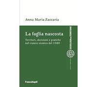 La faglia nascosta. Territori, decisioni e pratiche nel cratere sismico del 1980