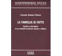 La famiglia di fatto. Analisi e disciplina di un modello familiare attuale e diffuso
