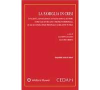 La famiglia in crisi. Invalidità, separazione e divorzio dopo le riforme