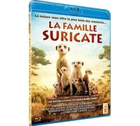 La famille suricate