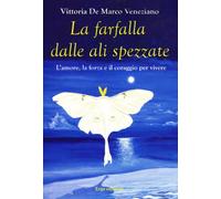 La farfalla dalle ali spezzate