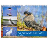 La faune de nos côtes les oiseaux (Calendrier mural 2026 DIN A2 vertical), CALVENDO calendrier mensuel: La faune aviaire qui peuple nos littoraux