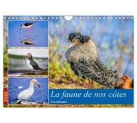 La faune de nos côtes les oiseaux (Calendrier mural 2026 DIN A4 vertical), CALVENDO calendrier mensuel: La faune aviaire qui peuple nos littoraux