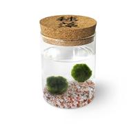 La Felicità è Nelle Piccole Cose Marimo Coppia originale vaso vetro con tappo sughero Ideogramma, artigianale, fondale rosa naturale, diametro 8cm, altezza 11cm, Made in Italy