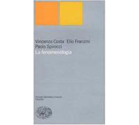 La fenomenologia - Costa Vincenzo, Franzini Elio, Spinicci Paolo