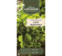 La Ferme de Sainte Marthe Cavolo Broccolo "à Jets Sessantina" - 1 conf.
