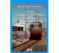 La ferrovia Campiglia Marittima Piombino, Piombino e l'industria siderurgica piombinese