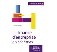 La finance d'entreprise en schémas