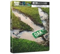 LA FINE DI OAK STREET 4K UHD + BS