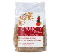 Crunchy con avena e frutti rossi La Finestra sul Cielo