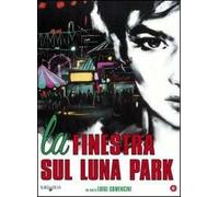 La finestra sul Luna Park