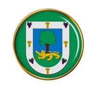 La Florida (Cile) Spilla