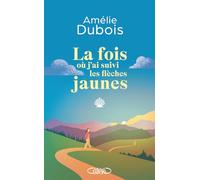 La fois où j'ai suivi les flèches jaunes