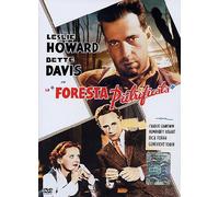 La Foresta Pietrificata