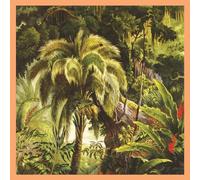 Xiu Xiu La Foret (Vinyl LP) 12" Album Coloured Vinyl