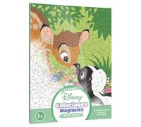 La forêt: Coloriages magiques - Mystères