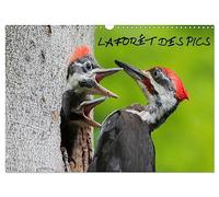 LA FORÊT DES PICS (Calendrier mural 2026 DIN A3 vertical), CALVENDO calendrier mensuel: 13 photos des pics de la forêt québécoise.