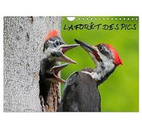LA FORÊT DES PICS (Calendrier mural 2026 DIN A4 vertical), CALVENDO calendrier mensuel: 13 photos des pics de la forêt québécoise.