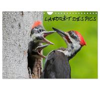 LA FORÊT DES PICS (Calendrier mural 2027 DIN A4 vertical), CALVENDO calendrier m