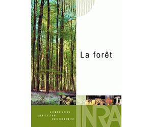 La foret, le climat. the forest, the climate