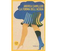 La forma dell'acqua