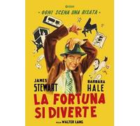 La fortuna si diverte (DVD)