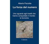 La forza del numero. Uno sguardo agli insetti che hanno conquistato il mondo: le formiche
