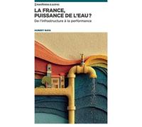La France, puissance de l'eau ?: De l'infrastructure à la performance