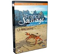La France sauvage : bretagne, entre falaise et océan