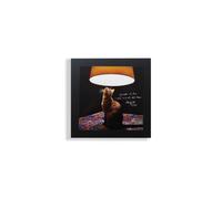 LA FUCINA DEI PENSIERI Quadro Motivazionale LUCE [Nero] [25x25 cm] Frasi Motivazionali Crescita Personale (italiano)