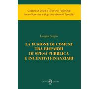 La fusione di comuni tra risparmi di spesa pubblica e incentivi finanziari