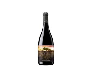 La Garnacha Olvidada de Aragón 2022