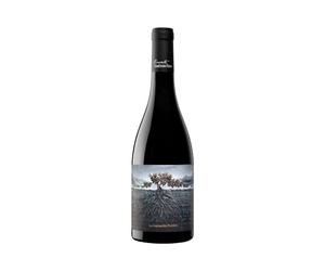 La Garnacha Perdida del Pirirneo