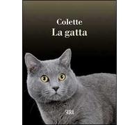 La gatta
