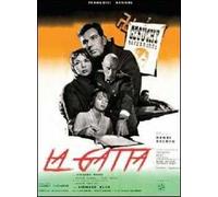 La gatta