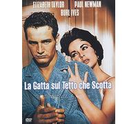 Film - La Gatta Sul Tetto Che Scotta - Dvd