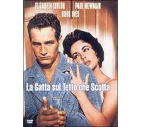 Film - La Gatta Sul Tetto Che Scotta - Dvd