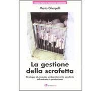 La gestione della scrofetta: strategie di rimonta, ambientamento sanitario ed entrata in produzione
