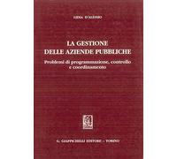 La gestione delle aziende pubbliche. Problemi di programmazione, controllo e coordinamento