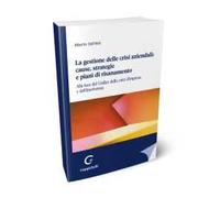 La gestione delle crisi aziendali: cause, strategie e piani di risanamento