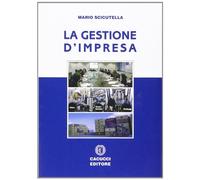 La gestione d'impresa